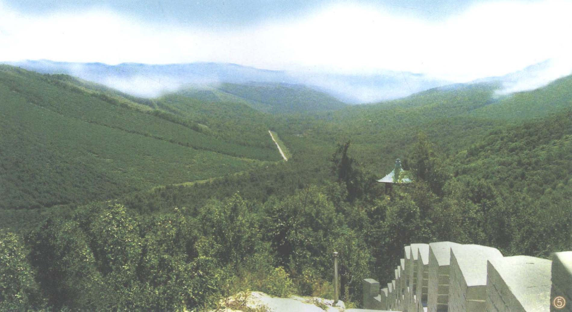 勃利國(guó)家森林公園