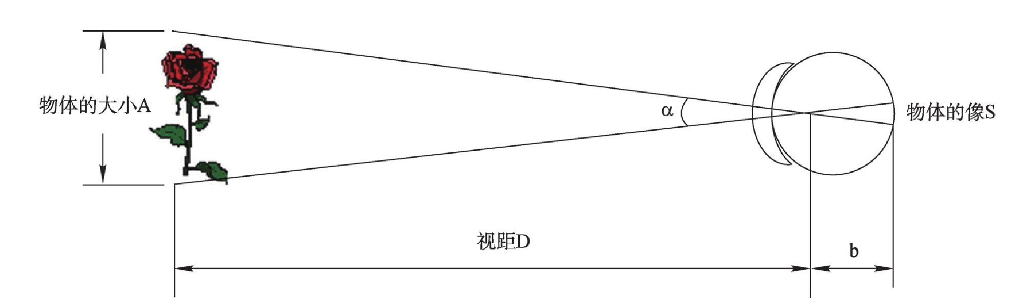 1.2.2 視角、視力與視場