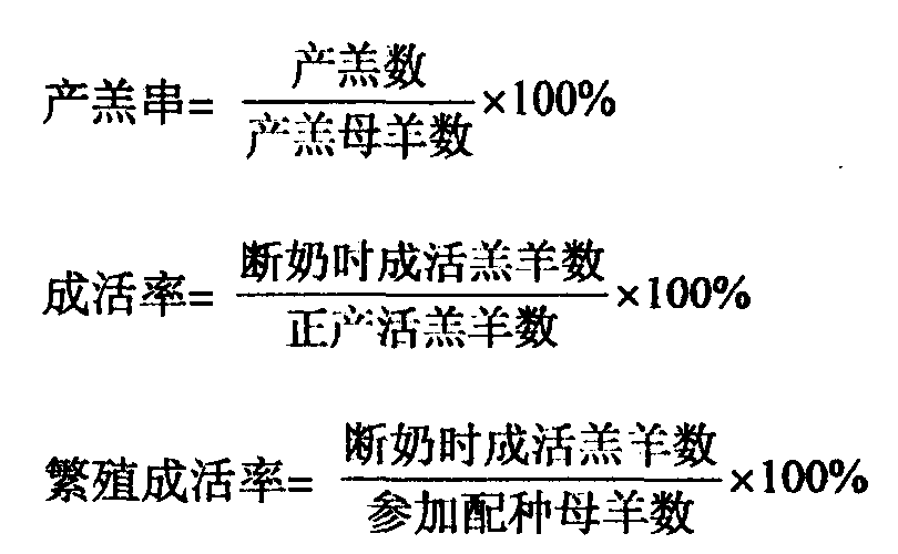 第一節(jié) 半細毛羊個體鑒定參考方法