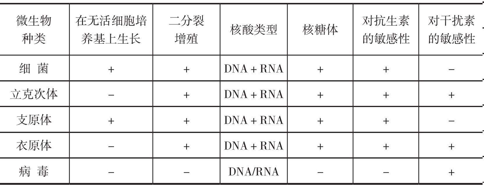 第一節(jié) 病毒的形態(tài)與結(jié)構(gòu)