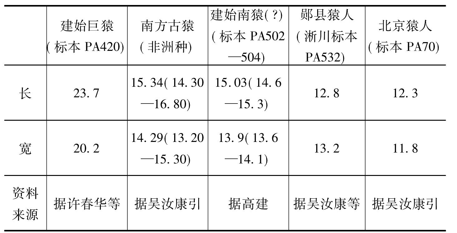 一 原始人類的近親——建始步氏巨猿