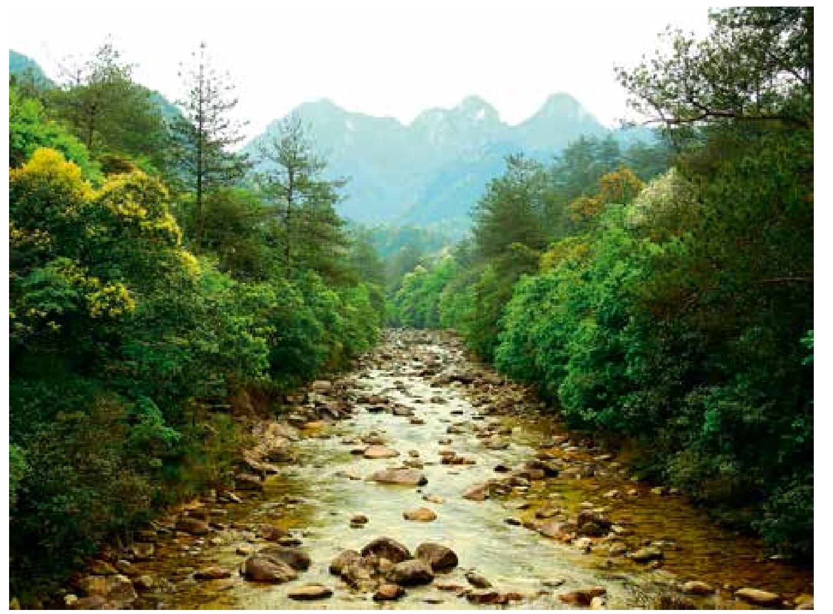 義東古道:極目蕭條三兩家，庭樹不知人去盡