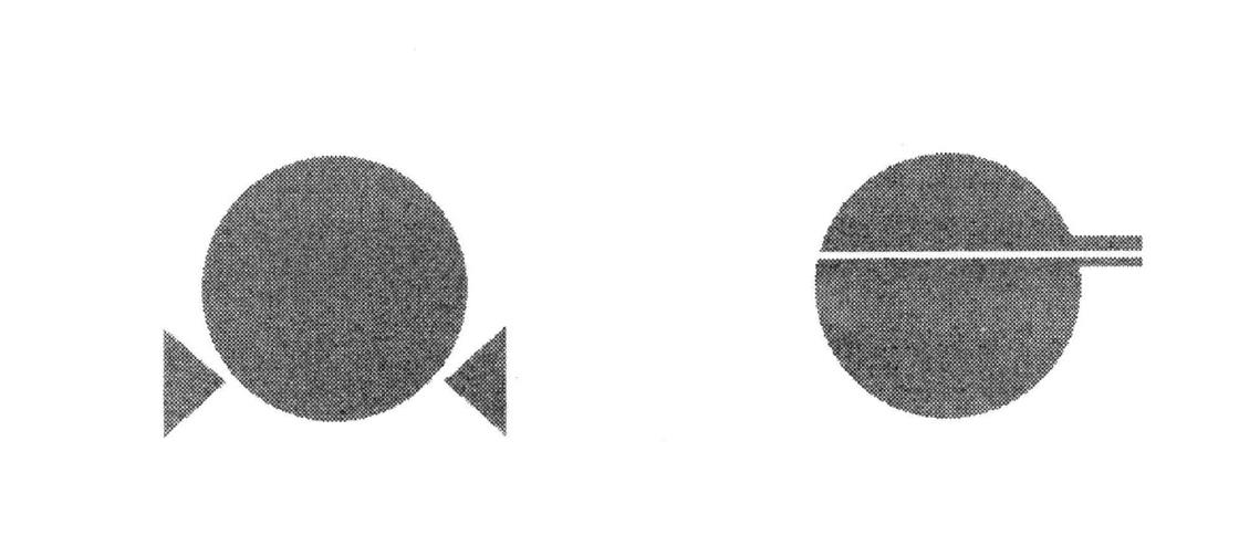 對(duì)學(xué)校和學(xué)習(xí)的沖擊